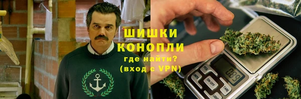 мдпв Верхний Тагил