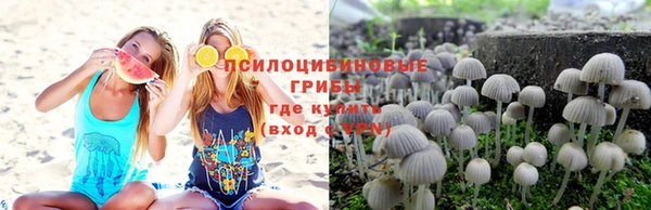 сатива Володарск